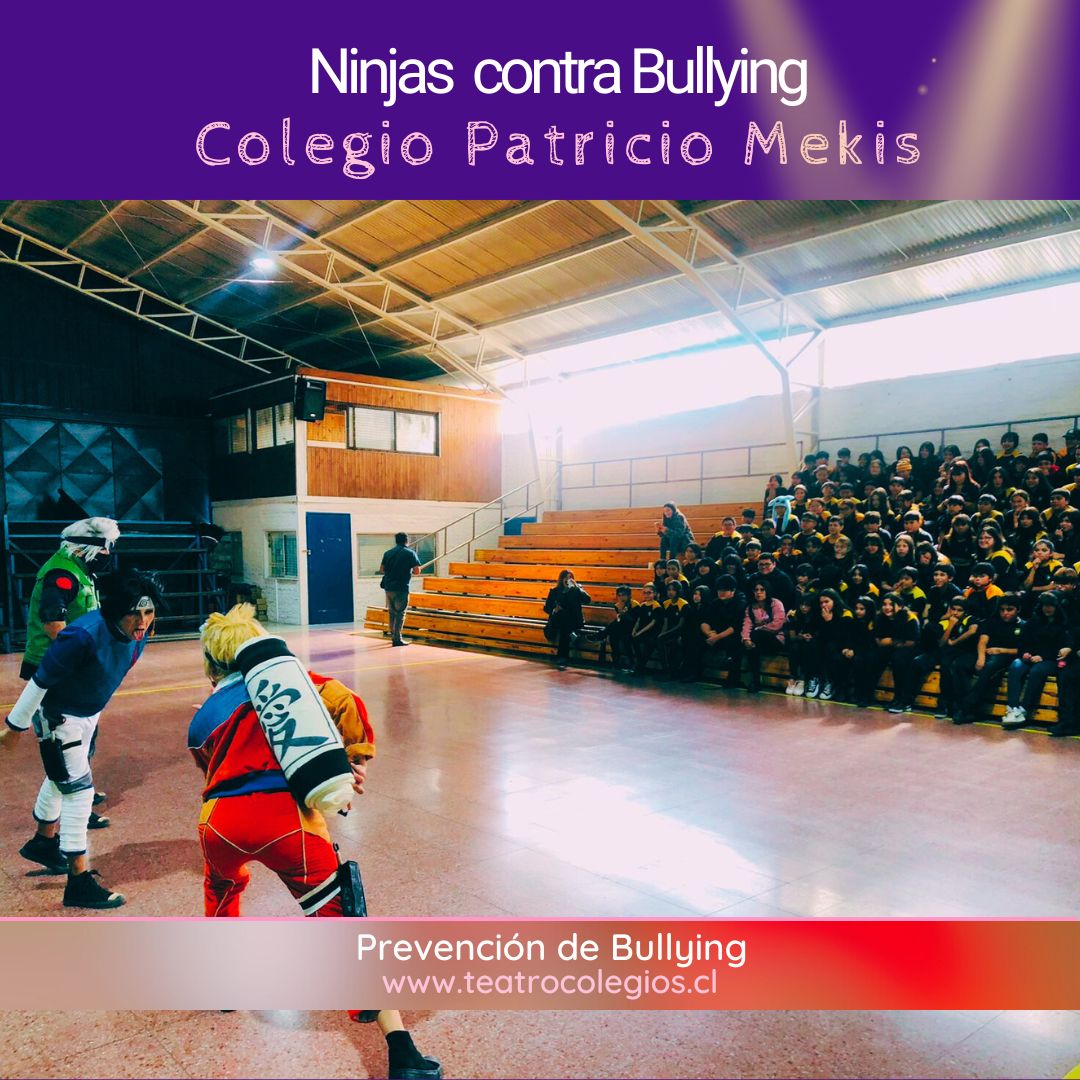 ninjas contra bullying