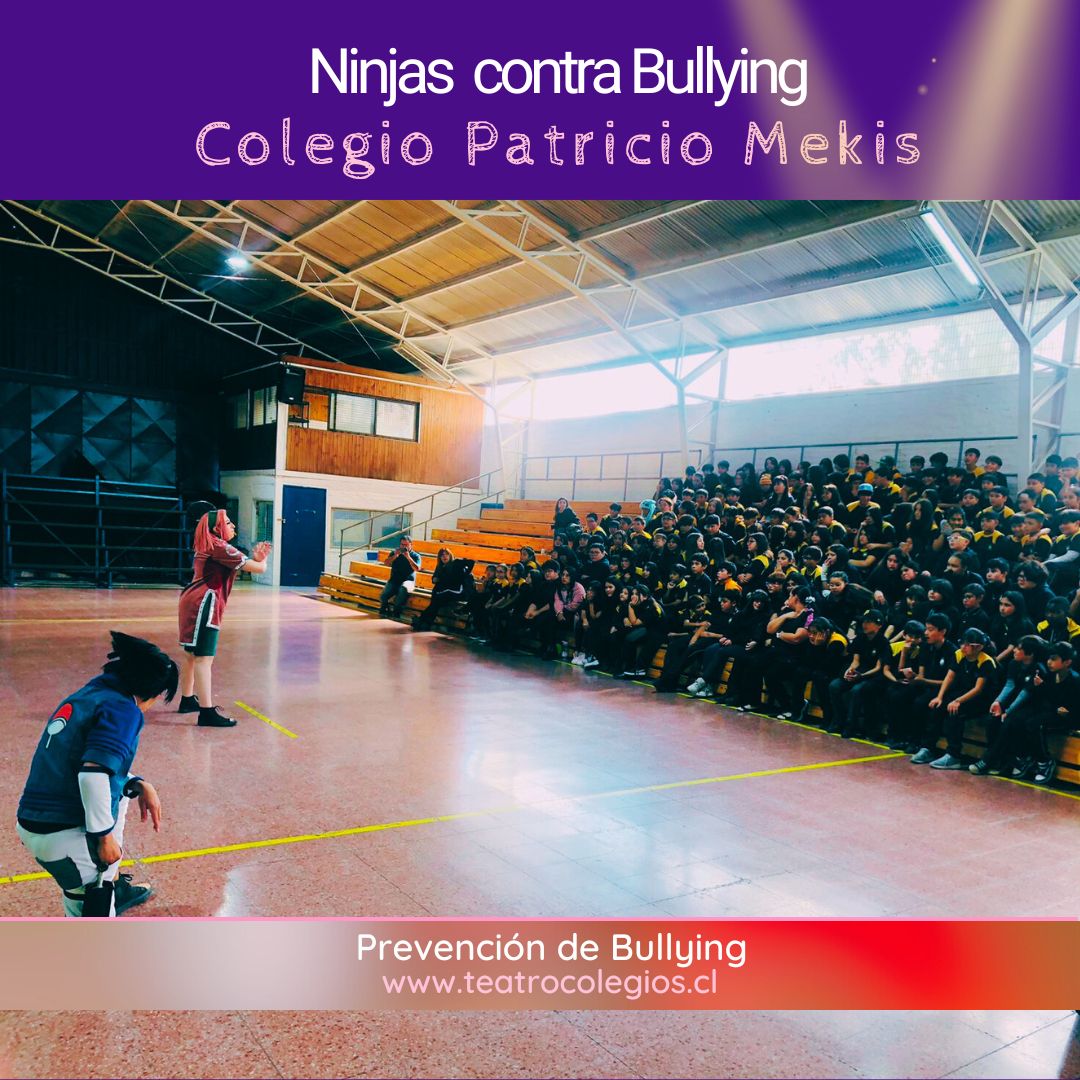 ninjas contra bullying