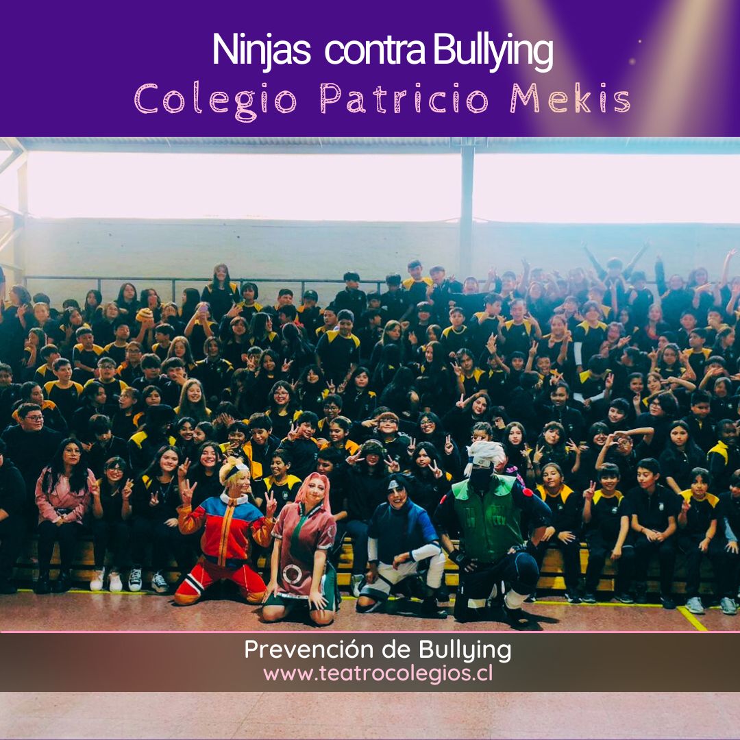 ninjas contra bullying